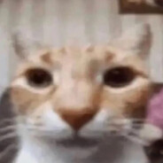 溜溜梅无需多言