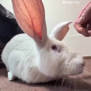 beegobbler