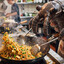 AnomalocarisFriedRice