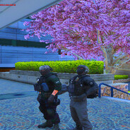 ⭐Robert⭐Best👑