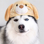 B站知允nayo283829303