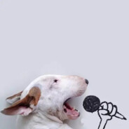 纯情蟑螂火辣辣