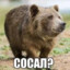 Волк с Лузстрит