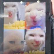 施主苦海无涯回头是岸，放下屠刀立地成佛。