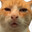 o ͜つo Trongolito's Avatar