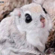 喜多郁代--脚气侠