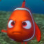 The Angry Nemo