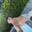NAVI_Ionut