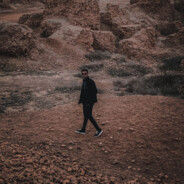 Hassan Ali