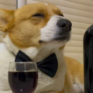 青青草原超人强