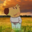 Erizos_3022