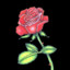 Red_RoSeZ