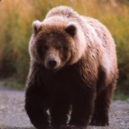 Мишаня ПИТЕР