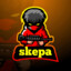 skepa3