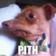 Pith