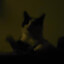 opengl
