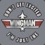 The_Wingman