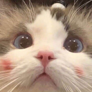 你是我的小饼干！