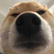 发把键盘全杀完