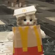 kyuubi