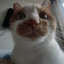 Maoye