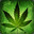 xXx_CBЭГ_xXx Steam avatar