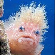 Fish - steam id 76561197960883076