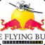 Fly!ng_Bull$