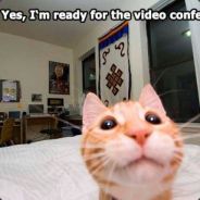 kgs_teddybear - steam id 76561197963148608