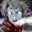 Plunderer349