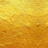 这些都是神经枪