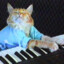 Keyboard Cat.