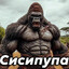 Сисипупа
