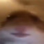 macmaolo