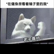 满山猴子 我腚最红