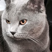屌沟撚你啊