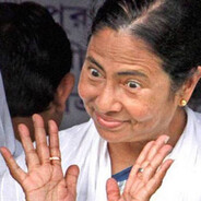 Bengal Tiger