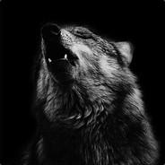 - Xyp9x :q