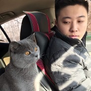 灰灰爹地的游戏包