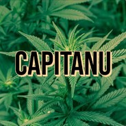 Capitanu