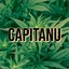 Capitanu