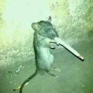 squiif