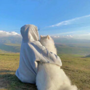 派大星的好朋友