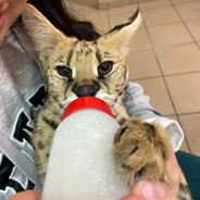 ❤️СВЯТОЙ VOR4UN❤