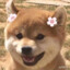 星辰