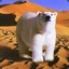 The Polar Bear In Desert