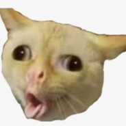 OG XENA avatar