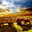 O Agricultor