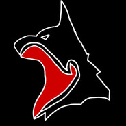 The_Wolves