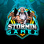 Stormin Gamez